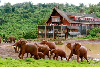 The Ark Lodge 